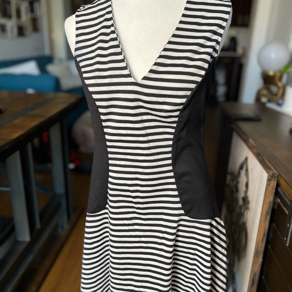 Striped Black and White Women's Dress